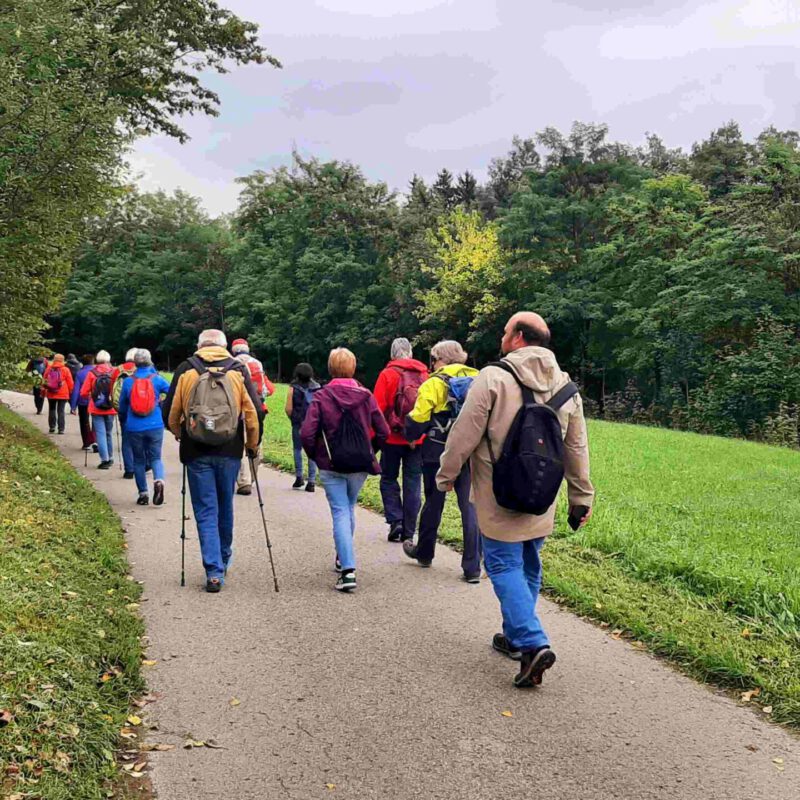 20250927_133233 20250927_133233